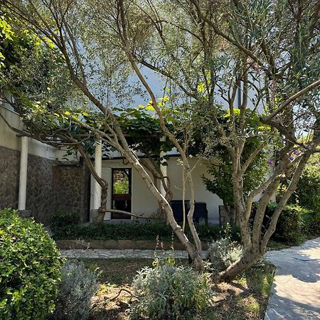 Apartman Kucer Krk Town Dış mekan fotoğraf
